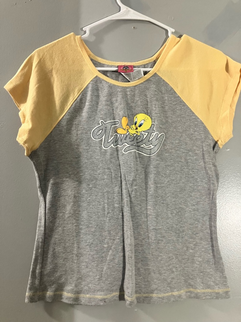 Warner Bros. Tweety Raglan Tee in Gray and Yellow